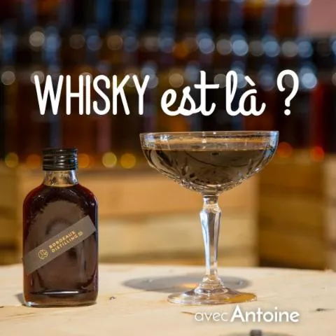 Image qui illustre: Fabriquez votre propre whisky de A à Z