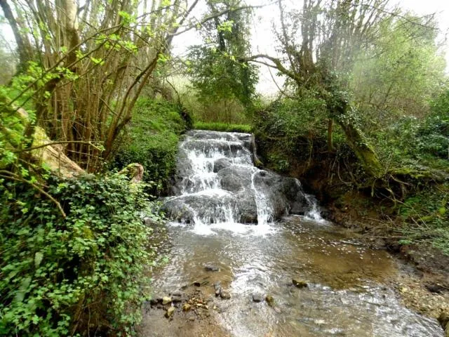 Image qui illustre: Cascade De Prêtreville