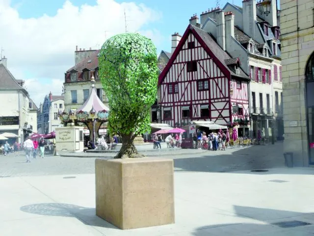 Image qui illustre: Office De Tourisme De Dijon Métropole