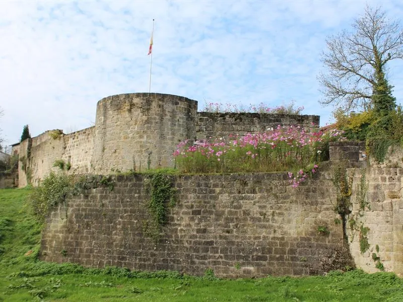 Image qui illustre: Circuit Des Remparts De La Forteresse De Dun Le Chastel à Dun-sur-Meuse - 0