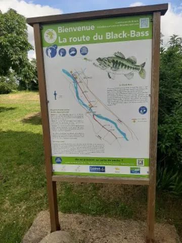 Image qui illustre: Pêche Sur La Route Du Black Bass
