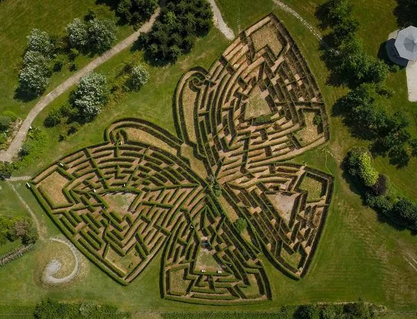 Image qui illustre: Les Jardins De Colette Et Son Labyrinthe