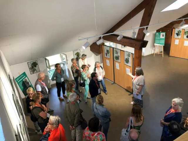 Image qui illustre: Visite guidée de l’exposition  Les raisins de Pierre-Joseph Redouté