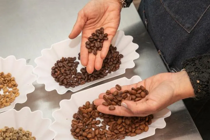 Image qui illustre: Dégustez du café dans une brûlerie artisanale