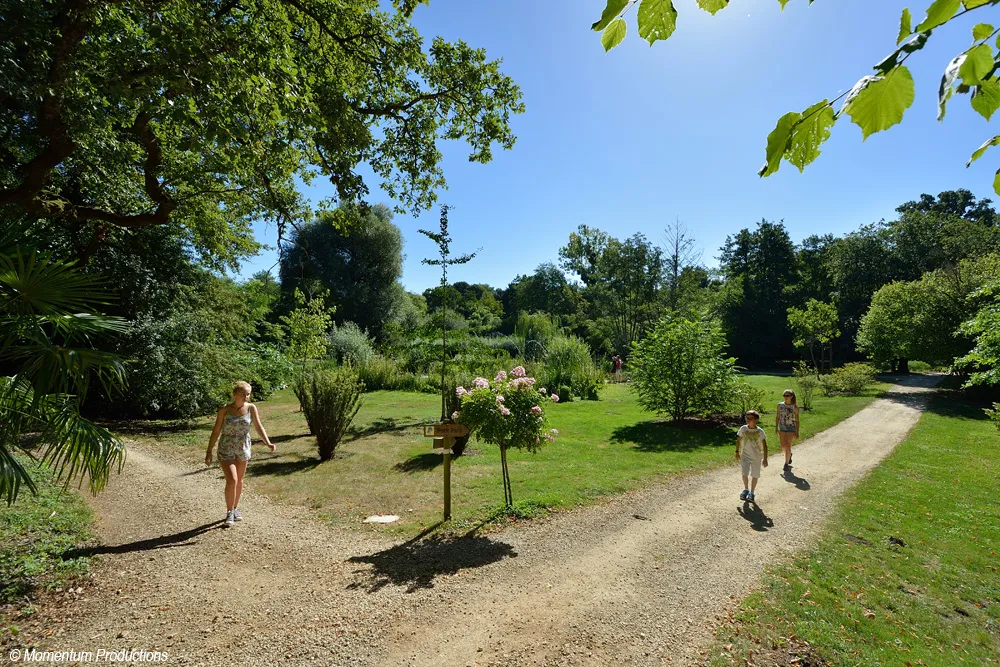 Image qui illustre: Parc De La Belle à Magné - 2
