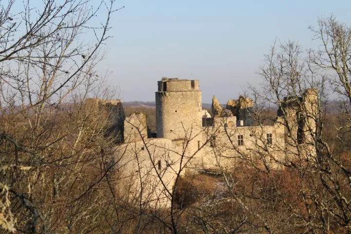 Image qui illustre: Château Fort De Roussillon À Saint-pierre-lafeuille