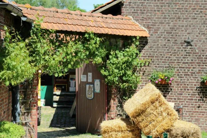 Image qui illustre: Visite de la Ferme Pédagogique