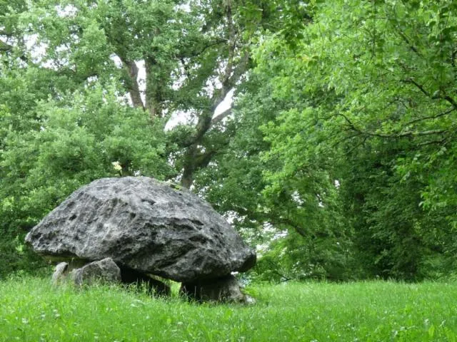 Image qui illustre: Le Tour Du Dolmen