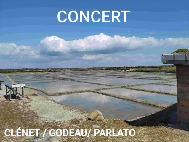 Image qui illustre: Concert Fatrassons invite Raphaël Godeau