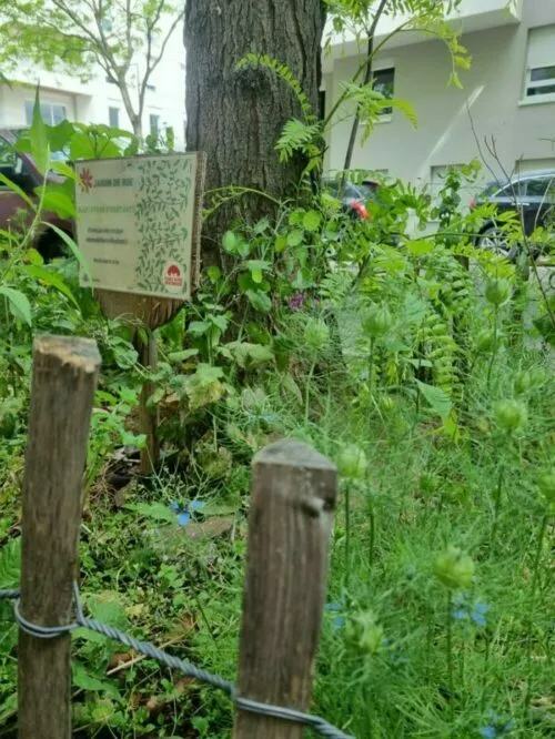 Image qui illustre: FESTIVAL CURIEUX DÉTOURS – GRANDCLÉMENT : BALADE ENTRE BIODIVERSITÉ ET PATRIMOINE à Villeurbanne - 0