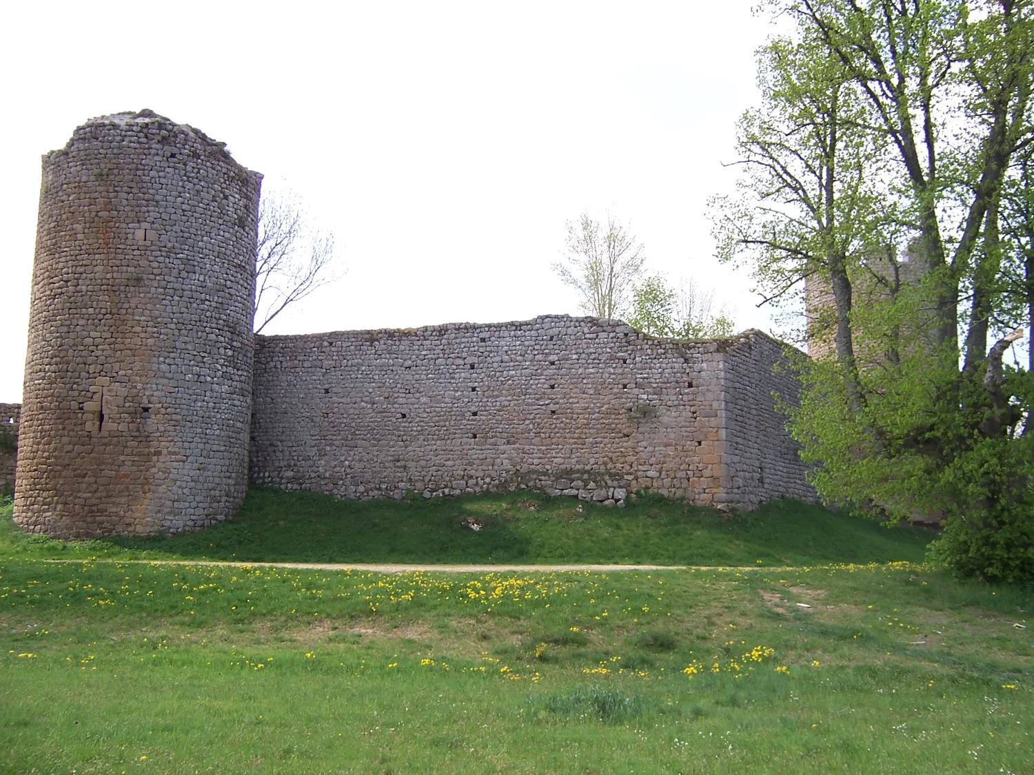 Image qui illustre: Château de Viverols à Viverols - 0