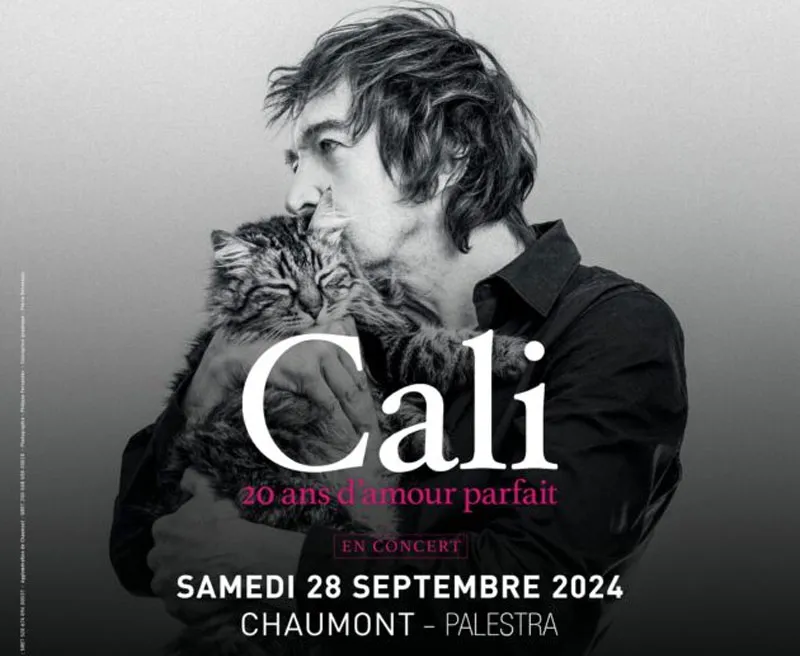 Image qui illustre: Cali, 20 Ans D'amour Parfait à Chaumont - 0