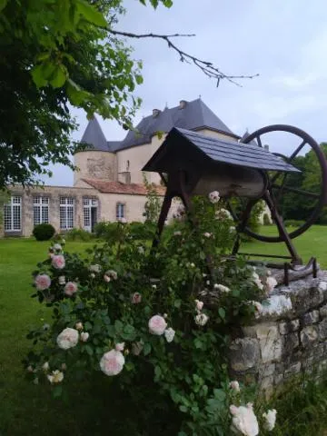 Image qui illustre: Château de la commanderie d'Ensigné en fête !