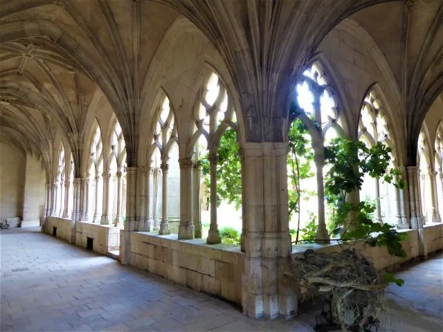 Image qui illustre: Le jardin et Cloître de la collégiale Saint Gengoult