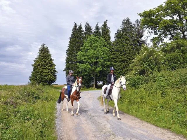 Image qui illustre: Ouillon : Chemin Des Bergers À Cheval