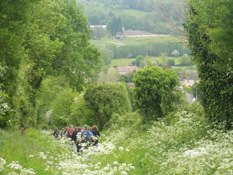 Image qui illustre: Le Mesnil Mauger : Les Trois Clochers - 7,8km à Mézidon Vallée d'Auge - 0