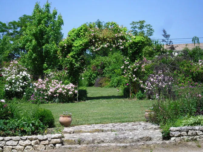 Image qui illustre: Le Jardin De Mireille à Auriac-sur-Dropt - 1