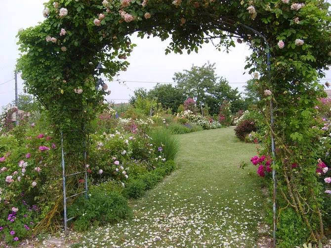 Image qui illustre: Le Jardin De Mireille à Auriac-sur-Dropt - 2