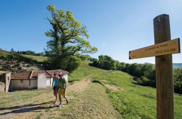 Image qui illustre: Le Sentier De Portet