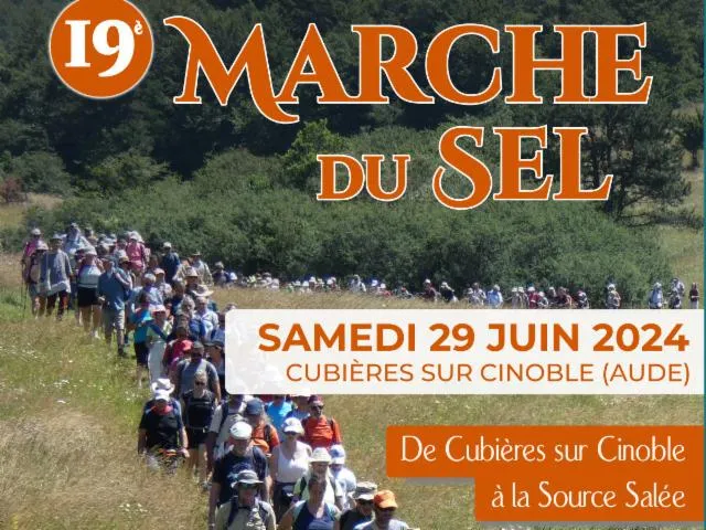Image qui illustre: 19ème Marche Du Sel