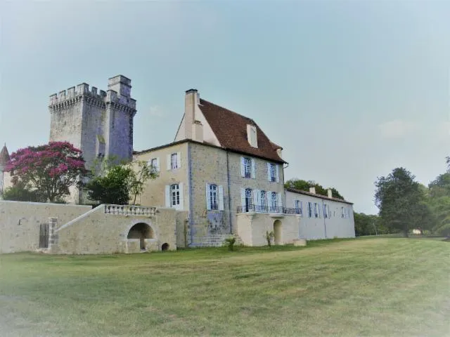 Image qui illustre: Visité guidée du château de Xaintrailles