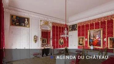 Image qui illustre: L’imagerie 3d Au Service Du Futur « Château-musée » De Lunéville