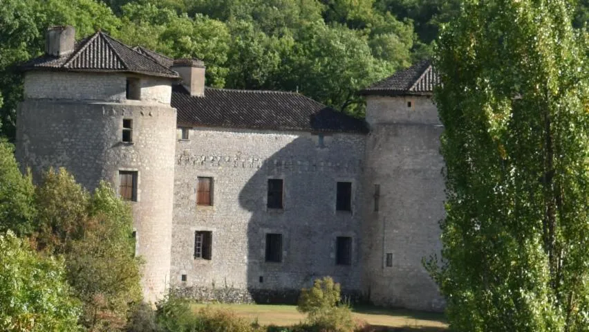 Image qui illustre: Château De Calamane