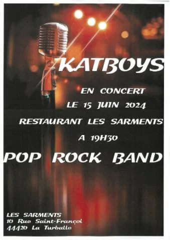 Image qui illustre: Concert Pop Rock Band Katboys