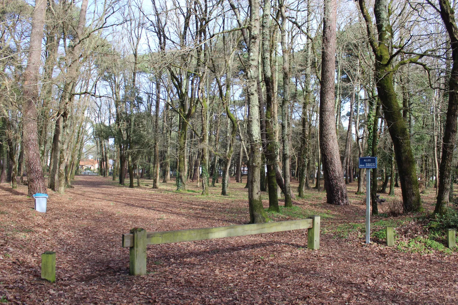 Image qui illustre: Bois Des Soucis à Saint-Brevin-les-Pins - 1