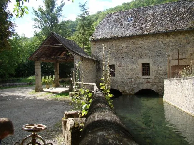 Image qui illustre: Pisciculture le Moulin de Gourjan