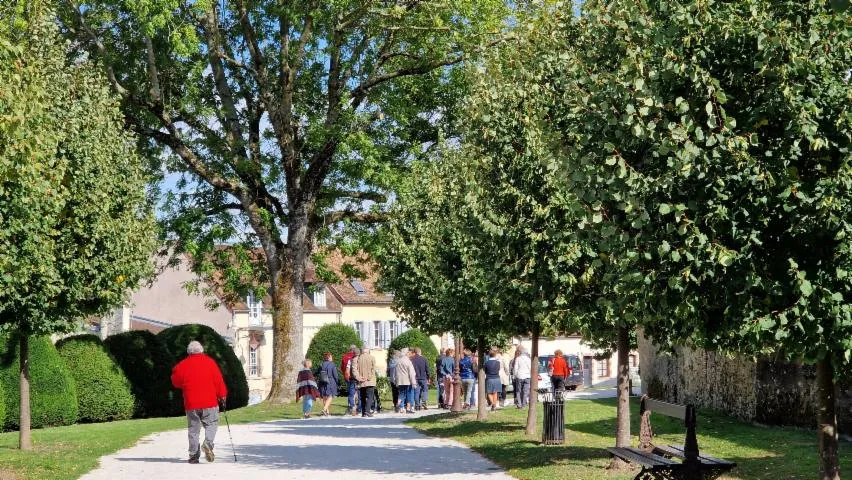 Image qui illustre: Visite commentée de Sézanne et ses ruelles