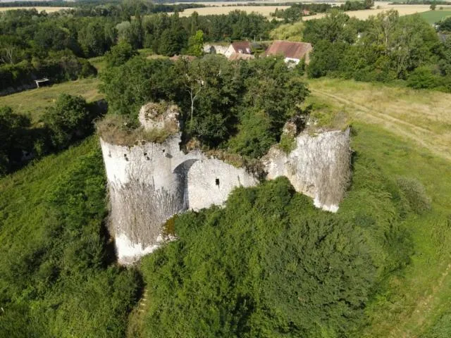 Image qui illustre: Château Fort De Bommiers