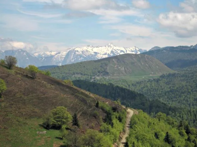 Image qui illustre: Plateau d'altitude d'Issarbe