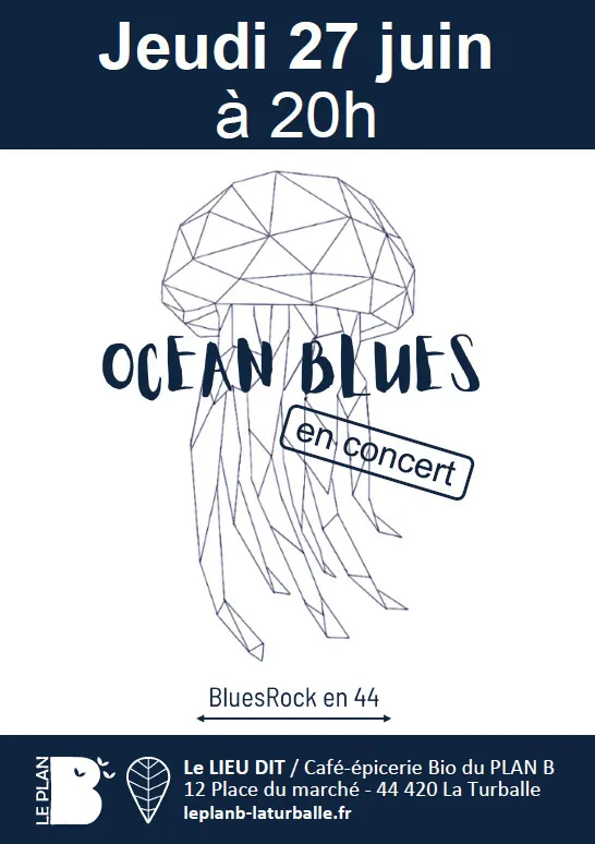 Image qui illustre: Concert avec Océan Blues à La Turballe - 0