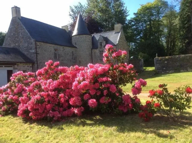 Image qui illustre: Visite des extérieurs au Manoir du Lézard