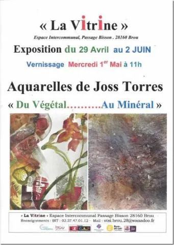 Image qui illustre: Exposition - Aquarelle De Joss Torres