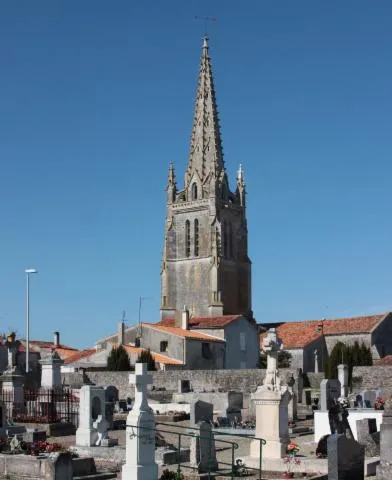 Image qui illustre: Église Saint-Pierre de Moëze