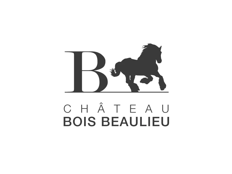 Image qui illustre: Château Bois Beaulieu à Meilhan-sur-Garonne - 1