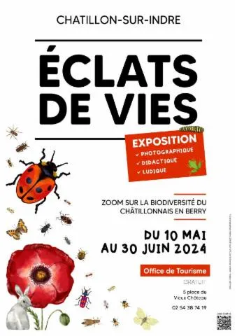 Image qui illustre: Exposition Photographique "eclats De Vie"
