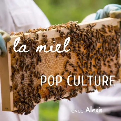 Image qui illustre: Découvrez l'apiculture urbaine