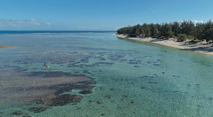 Image qui illustre: Plage de la Saline