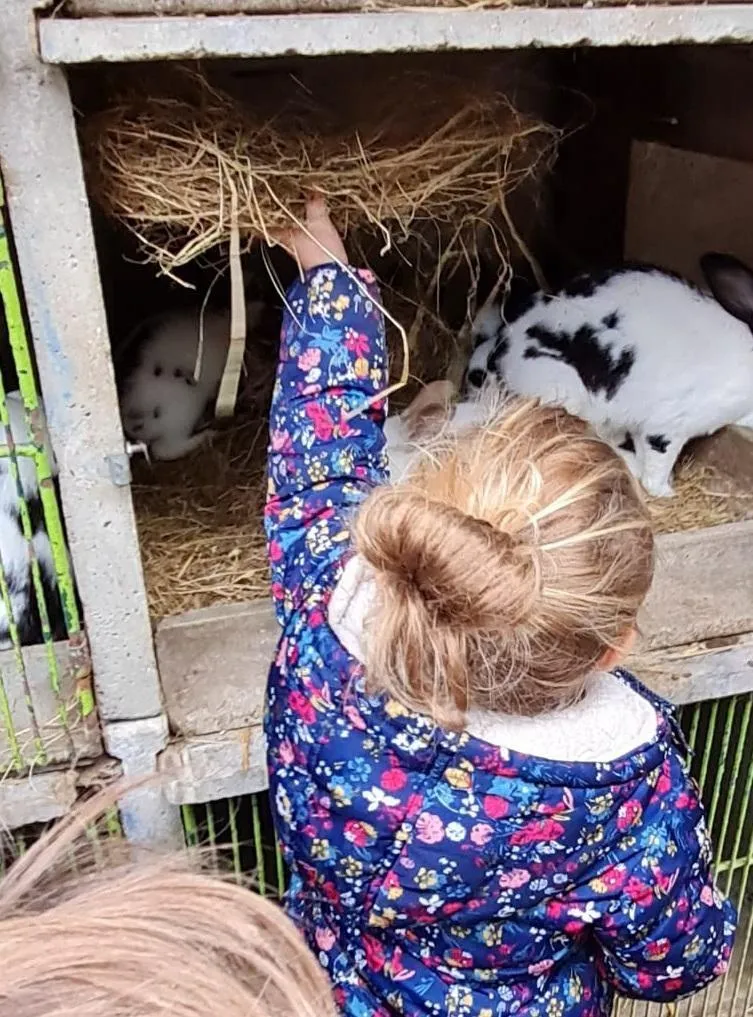 Image qui illustre: Une Journée À La Ferme à Ventron - 1