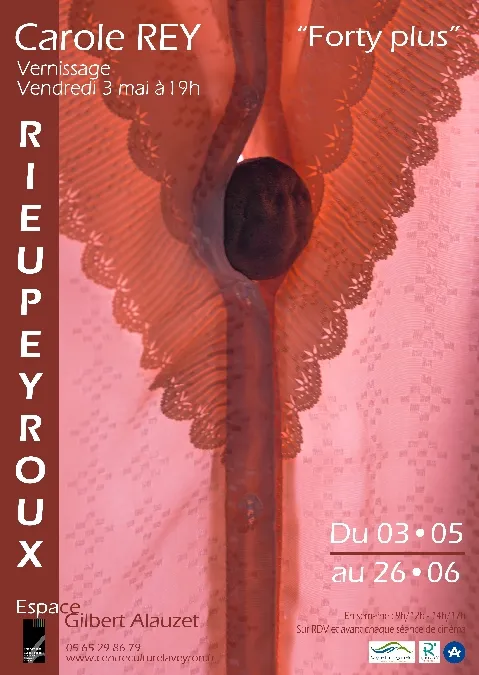 Image qui illustre: Exposition Carole Rey  “forty Plus” à Rieupeyroux - 0