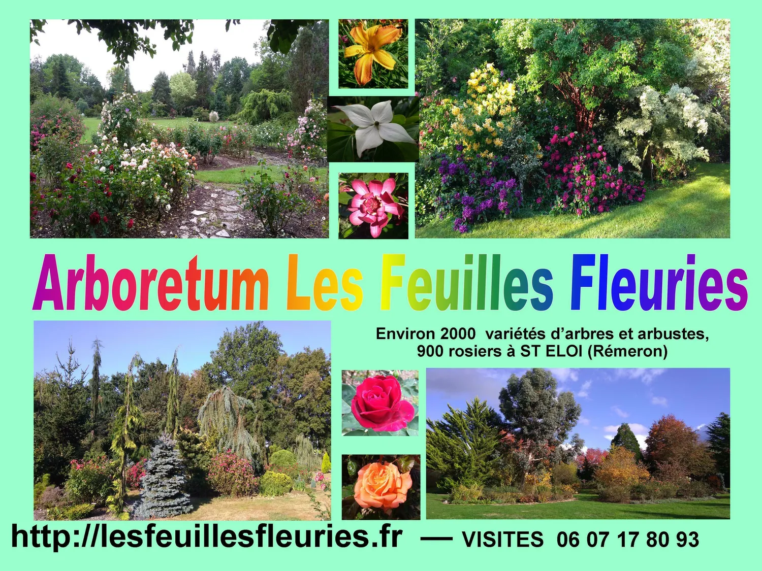 Image qui illustre: Découverte de l'arboretum  Les feuilles fleuries à Saint-Éloi - 0