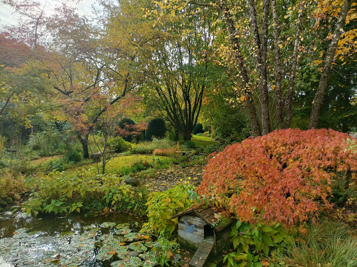 Image qui illustre: Ambiance automnale au Jardin de Marguerite à Plobsheim - 0