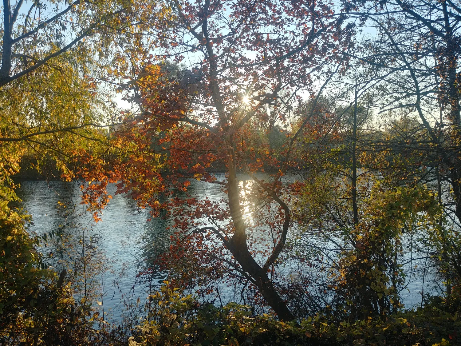 Image qui illustre: Parc Départemental De L’île-saint-denis à L'Île-Saint-Denis - 0