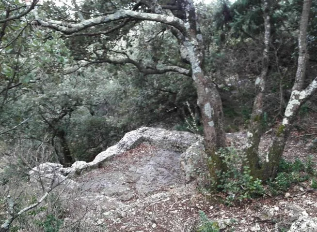 Image qui illustre: Circuit des cuves lapidaires de La Garde-Adhémar