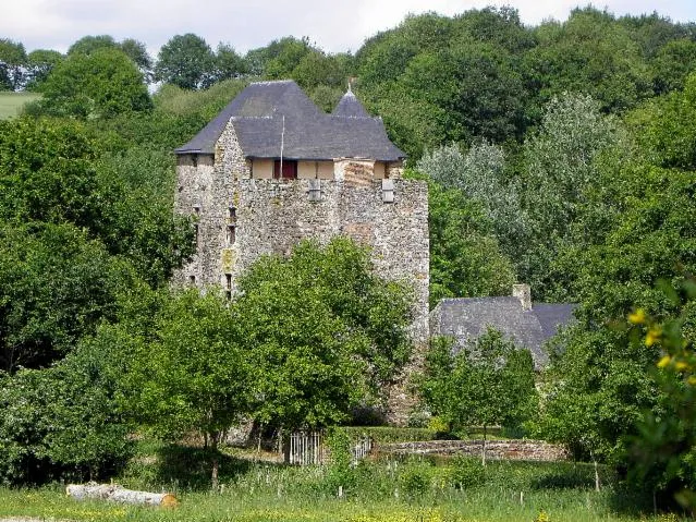 Image qui illustre: Château De La Boissière