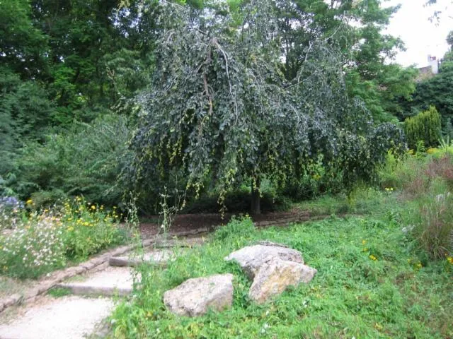 Image qui illustre: Parc Des Carrières Bacquin