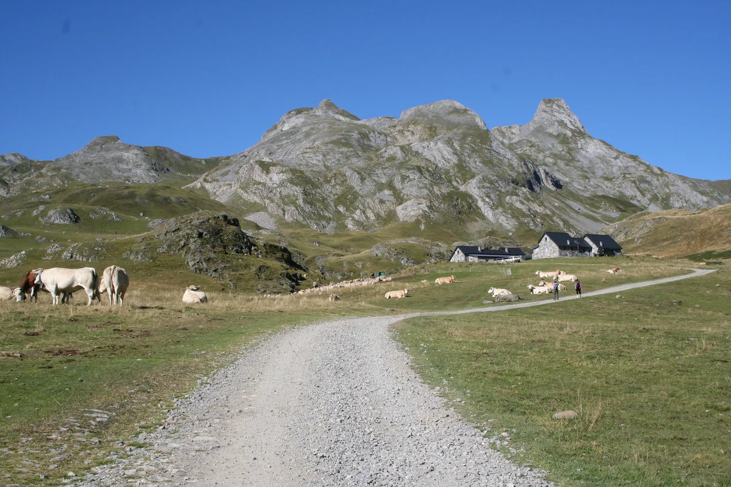 Image qui illustre: Parc National Des Pyrénées à Laruns - 0